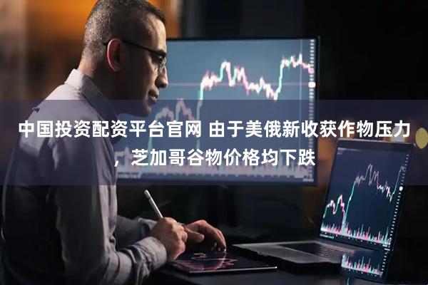中国投资配资平台官网 由于美俄新收获作物压力，芝加哥谷物价格均下跌