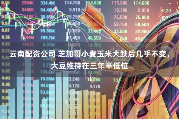 云南配资公司 芝加哥小麦玉米大跌后几乎不变，大豆维持在三年半低位
