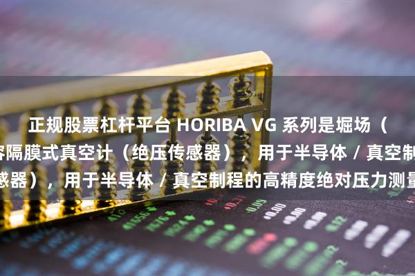 正规股票杠杆平台 HORIBA VG 系列是堀场（HORIBA STEC）的电容隔膜式真空计（绝压传感器），用于半导体 / 真空制程的高精度绝对压力测量